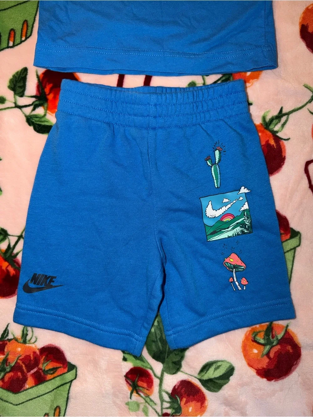 Nike Kids Crew Tee & Knit Shorts Set Biosphere Graphic Print XS 4 3-4years Boys